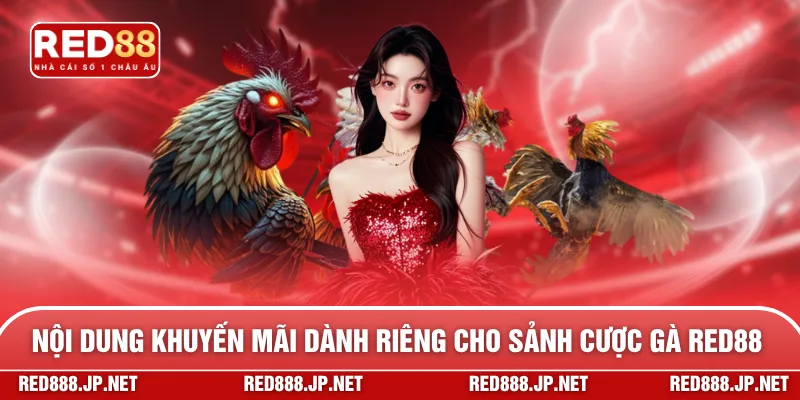 Nội dung khuyến mãi dành riêng cho sảnh cược gà RED88